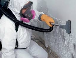 Best Commercial Mold Inspection  in Mccoll, SC